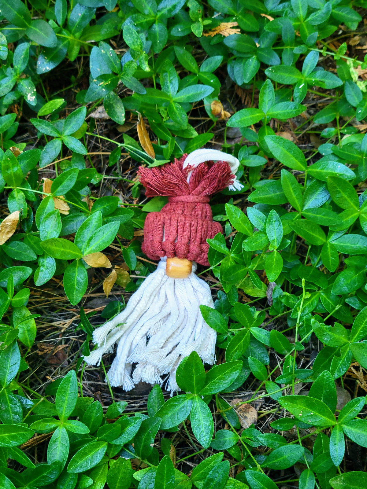 Gnome DIY Kit - Ages 8 and Up!