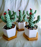 Five handmade macrame cactus plants in white ceramic pots with mixed crystal chips and bamboo trays, red sculpted flower toppers, flat lay