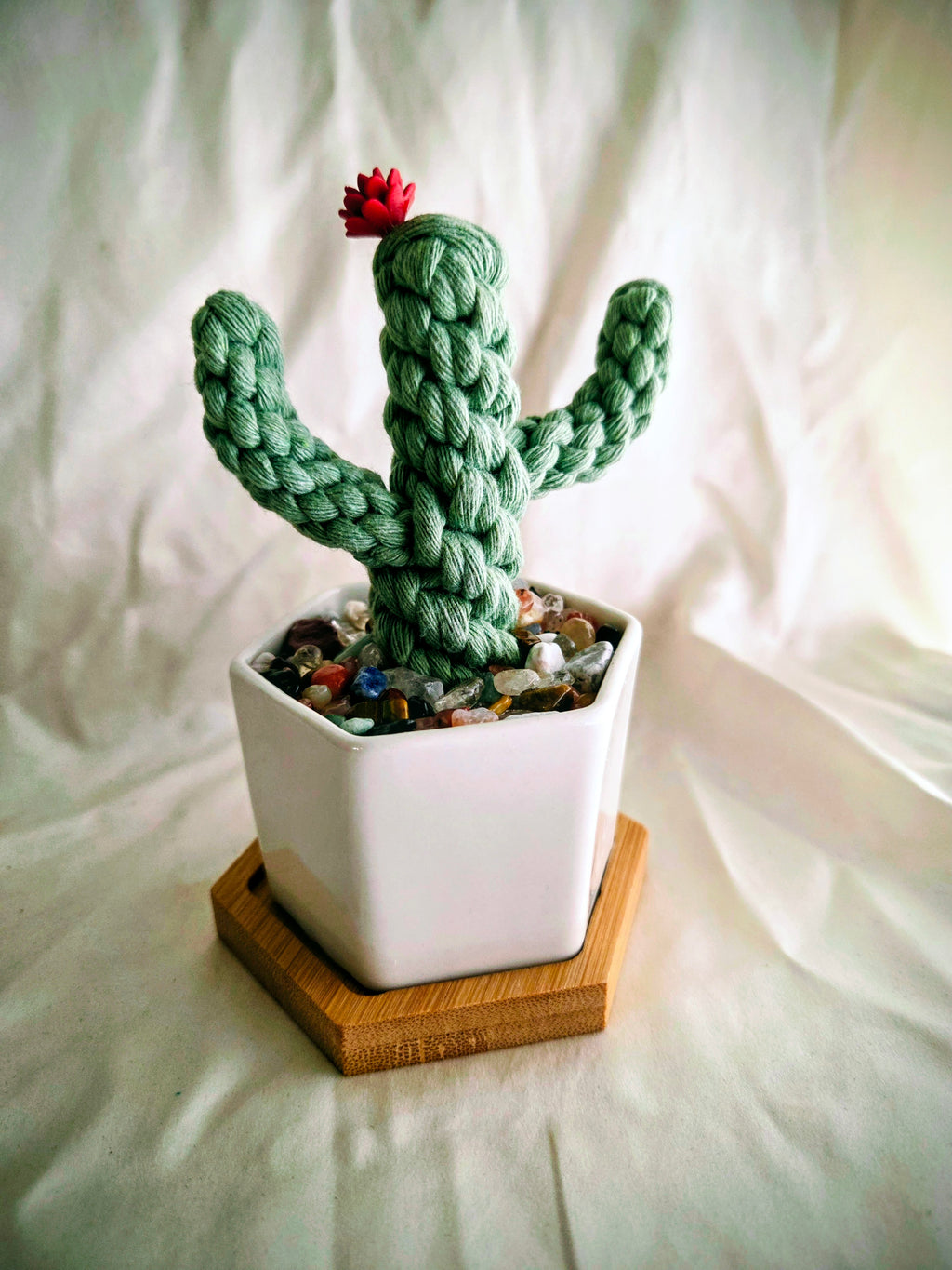 Single handmade macrame cactus in white ceramic pot with crystal chips and bamboo tray, side view